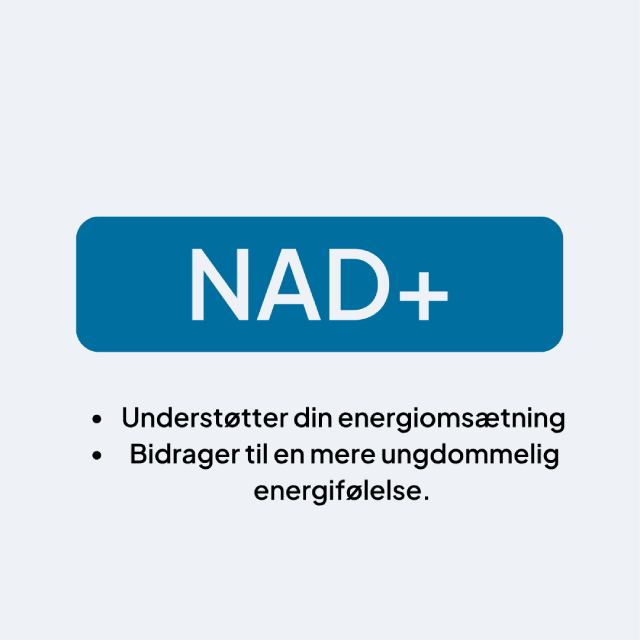 Illustration av NAD+ och dess roll i cellens energimetabolism