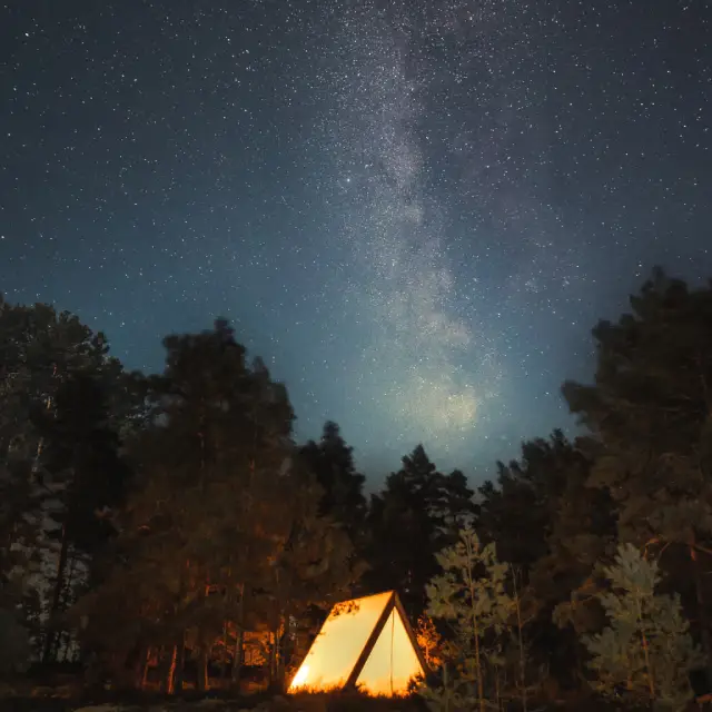 Glamping i skogen under stjärnhimlen