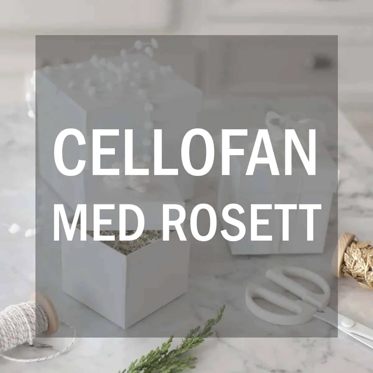 TeddyPost produkt 3
